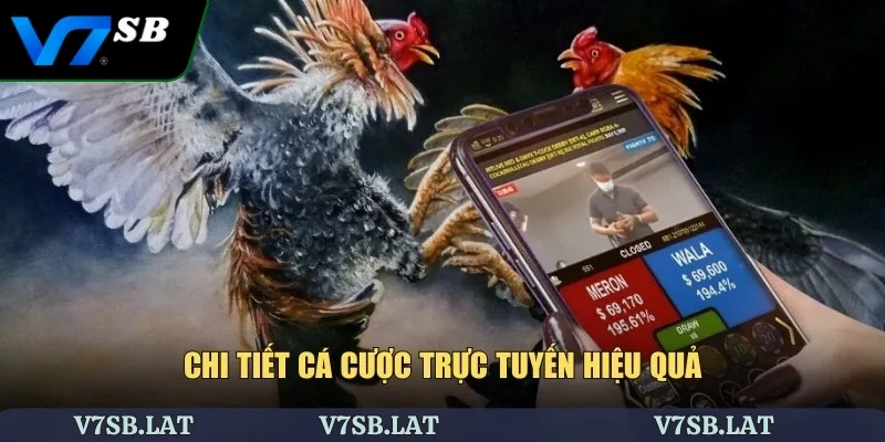 Chi tiết cá cược trực tuyến hiệu quả