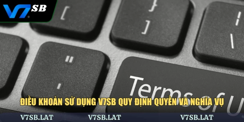 Điều khoản sử dụng V7SB quy định quyền và nghĩa vụ
