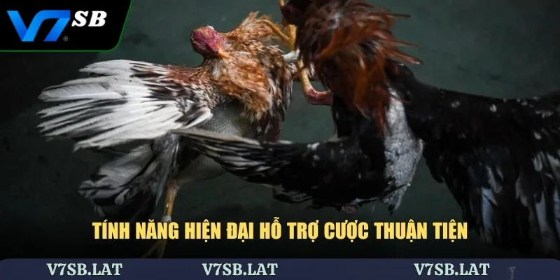 Tính năng hiện đại hỗ trợ cược thuận tiện