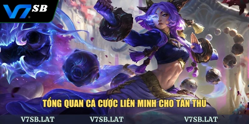 Tổng quan cá cược liên minh cho tân thủ